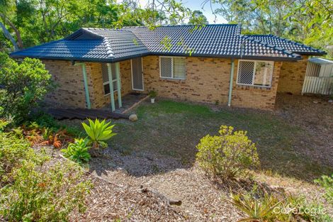 Property photo of 51 View Crescent Arana Hills QLD 4054