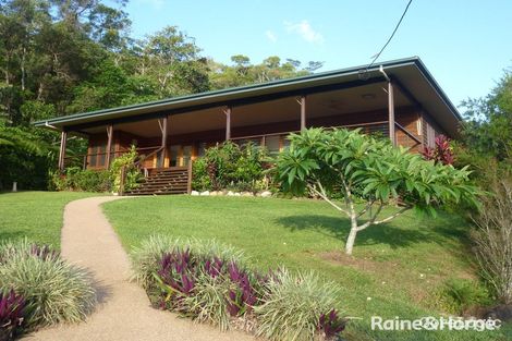 Property photo of 48 Churchill Creek Road Julatten QLD 4871