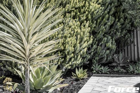 14 Staff Ct, Beldon, WA 6027