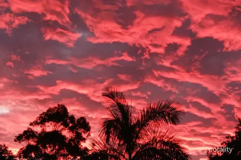 Property photo of 49 Pringle Street Mossman QLD 4873