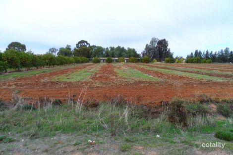 42 Arumpo St, Renmark West, SA 5341