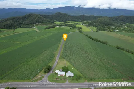 Property photo of 579 Mossman-Daintree Road Miallo QLD 4873