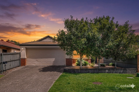 Property photo of 9 Vivacity Drive Upper Coomera QLD 4209