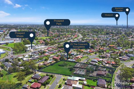 Property photo of 25 The Crescent Toongabbie NSW 2146