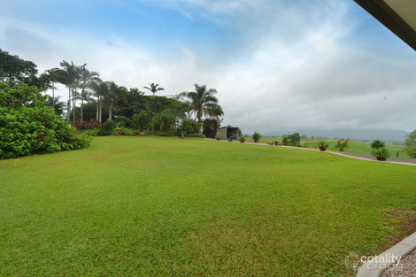 Property photo of 2140 Palmerston Highway East Palmerston QLD 4860