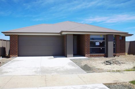 20 Spoonbill Ave, Winter Valley, VIC 3358