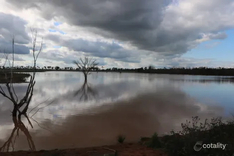 4330 Back Trundle Rd, Trundle, NSW 2875