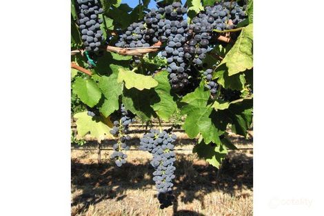 195 Gibb Rd, Toolleen, VIC 3551