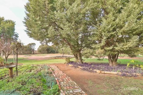 Property photo of 359 Shaggy Ridge Road Robinvale VIC 3549