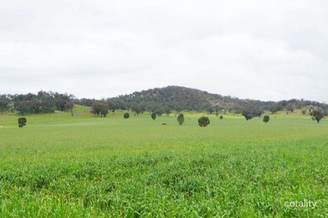 Property photo of 337 Dights Forest Road Jindera NSW 2642