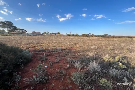 154 Dwyer St, South Boulder, WA 6432