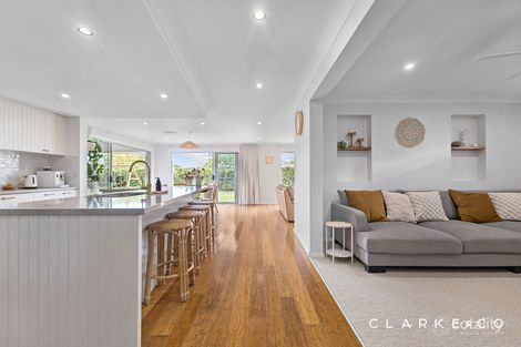 Property photo of 46 Dragonfly Drive Chisholm NSW 2322