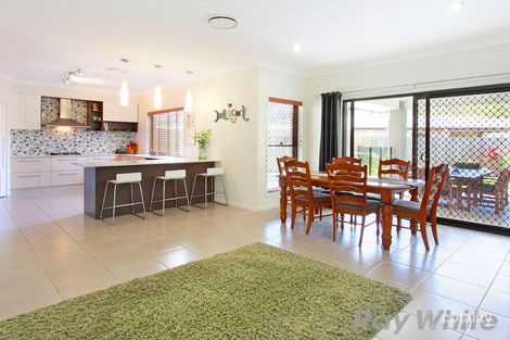 Property photo of 20 Ladbroke Close Carseldine QLD 4034