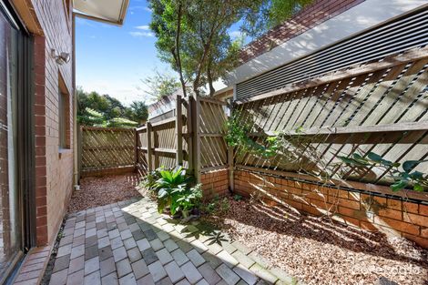Property photo of 6/11-19 View Street Chatswood NSW 2067