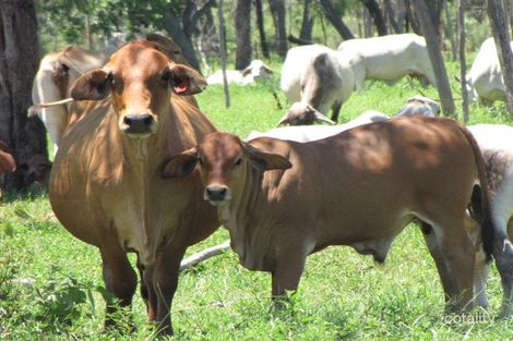 7205 Stuart Hwy, Birdum, NT 0852