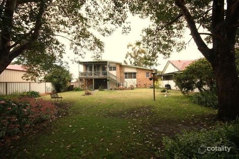 Property photo of 12 Collett Avenue Singleton NSW 2330