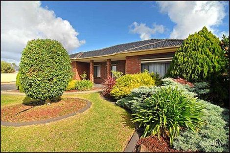 20 Monaro Cres, Newton, SA 5074