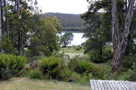 Property photo of 229 Bradys Lake Road Bradys Lake TAS 7140