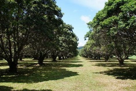 Property photo of 61 Studs Road Coolbie QLD 4850