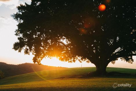 195 Goonengerry Rd, Goonengerry, NSW 2482