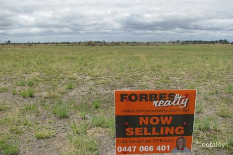 Property photo of 28 Solitaire Court Dalby QLD 4405