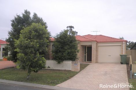 19 Heritage Cct, Springfield Lakes, QLD 4300