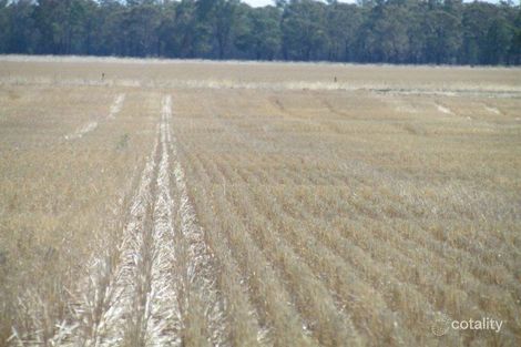 Pinnacle Rd, Grenfell, NSW 2810
