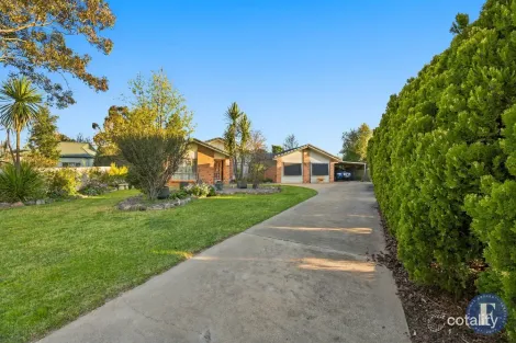 16 Crowe Pl, Cootamundra, NSW 2590