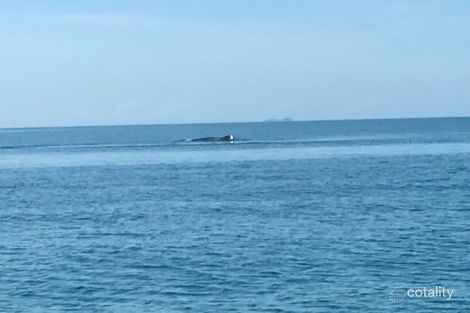 Property photo of 39 Saltwater Drive Toomulla QLD 4816