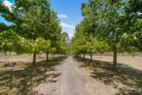 Property photo of 40-46 Henry Cox Drive Mulgoa NSW 2745