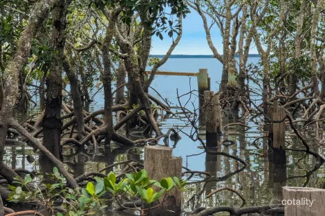 Property photo of 45 Perulpa Drive Lamb Island QLD 4184