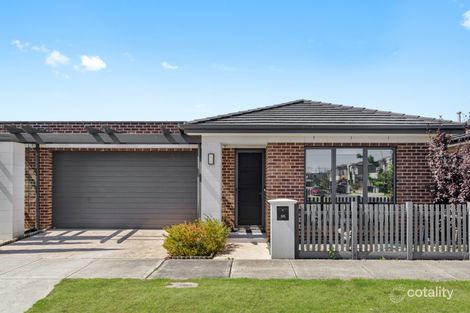 95 Billy Buttons Dr, Narre Warren, VIC 3805