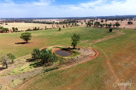 145 Bundawarrah Rd, Temora, NSW 2666
