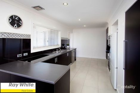 Property photo of 61 Picasso Crescent Carseldine QLD 4034