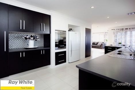 Property photo of 61 Picasso Crescent Carseldine QLD 4034