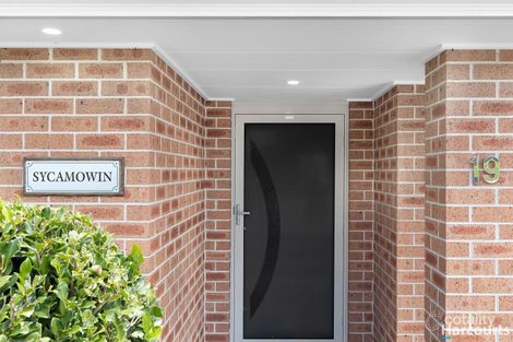Property photo of 19 Pinchtail Street Chisholm NSW 2322