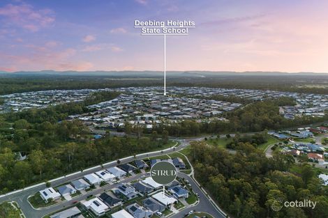 Property photo of 12 Carraba Street Deebing Heights QLD 4306