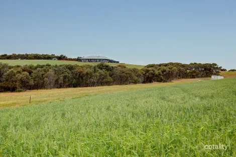 84 Lovegrove Lane, Whites Flat, SA 5607