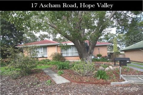 Property photo of 17 Ascham Road Hope Valley SA 5090
