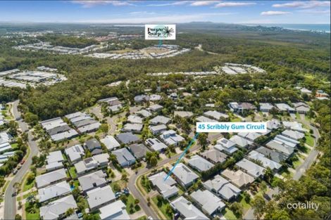 45 Scribbly Gum Cct, Peregian Springs, QLD 4573