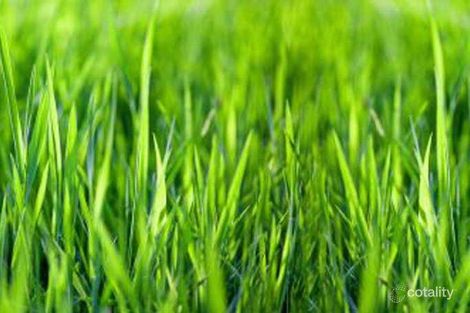 7 Rockefeller Way, Point Cook, VIC 3030