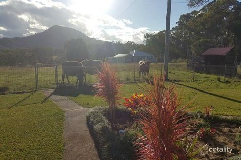 Property photo of 3254 Giinagay Way Valla NSW 2448