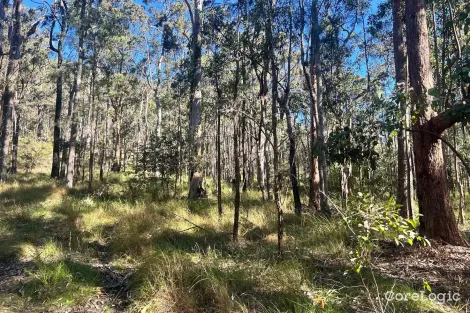 Property photo of 748 Tenterfield Road North Arm Cove NSW 2324