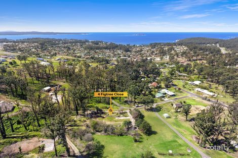 Property photo of 4 Figtree Close Surf Beach NSW 2536