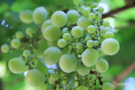 Property photo of 195 Rosedale Road Chidlow WA 6556