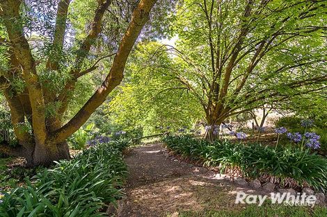 Property photo of 13 Todd Street Macclesfield SA 5153