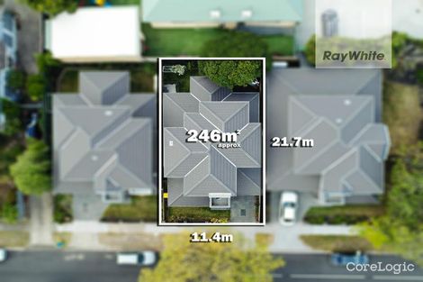 Property photo of 9 Ventura Street Ashburton VIC 3147