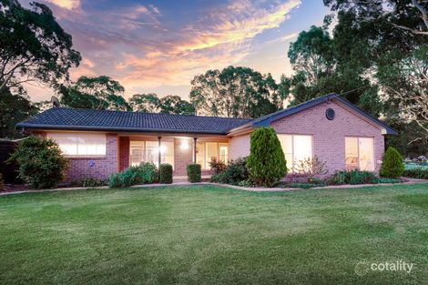 Property photo of 17 Camilla Close Windella NSW 2320