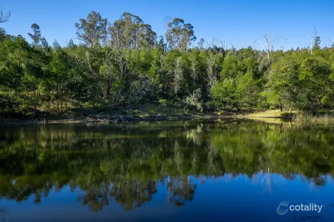 Upper Brogo Rd, Brogo, NSW 2550