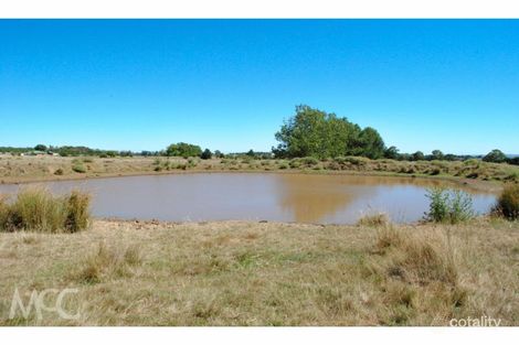 Property photo of 234 Canobolas Road Canobolas NSW 2800